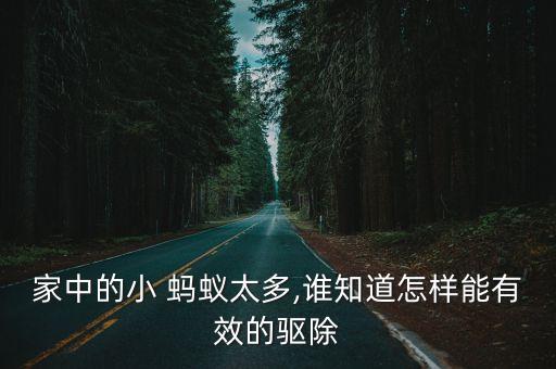 什么農藥治螞蟻最靈活呢,螞蟻用什么農藥可以除掉它