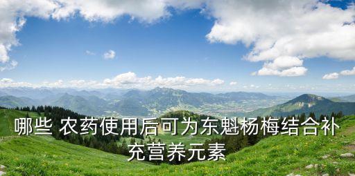 哪些 農藥使用后可為東魁楊梅結合補充營養元素