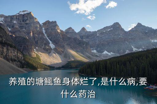 用什么農藥殺魚蟲,什么農藥殺老鼠效果最好