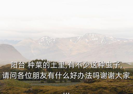 種菜長蟲打什么農藥,什么土種菜不長蟲