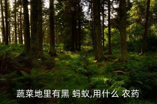 蔬菜地里有黑 螞蟻,用什么 農藥