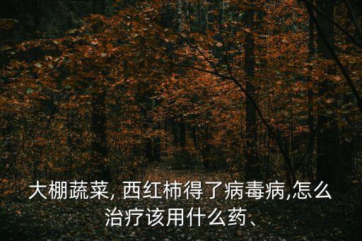 凱特農藥治西紅柿什么病,西紅柿苗期用什么農藥