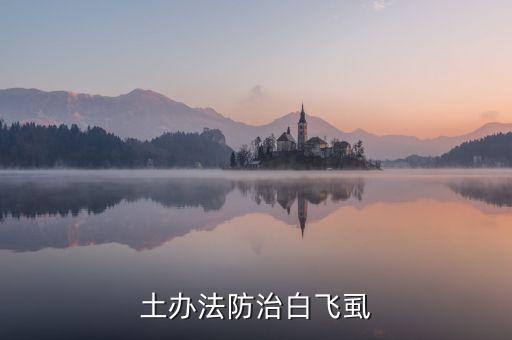 土辦法防治白飛虱