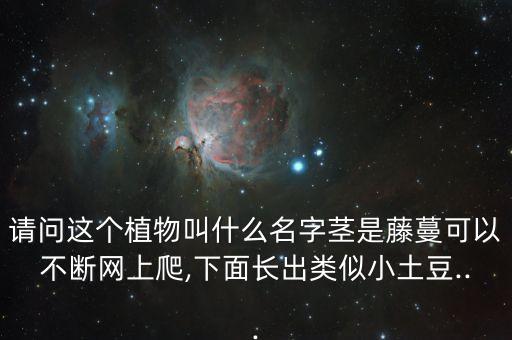 什么農藥殺死藤三七,野生藤三七根能用什么殺死