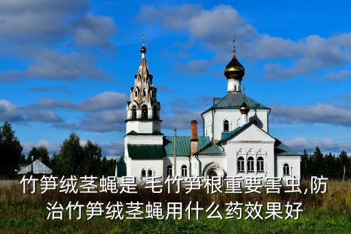 毛竹打針用什么農藥,什么農藥能把毛竹致死