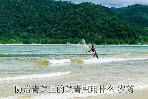 防治青菜上的菜青蟲用什么 農(nóng)藥