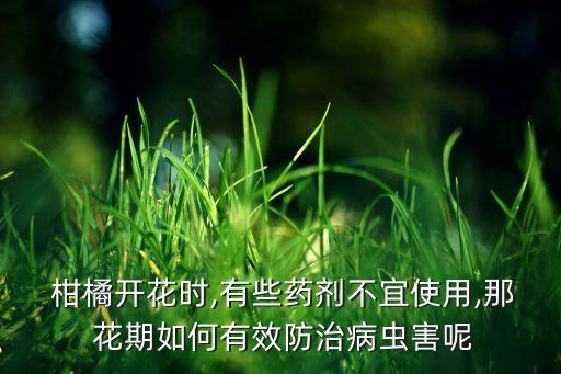 柑橘開花時,有些藥劑不宜使用,那 花期如何有效防治病蟲害呢