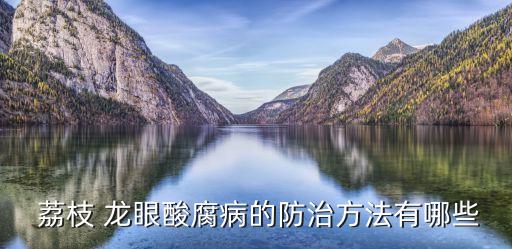 噴龍眼荔枝用什么農藥,龍眼和荔枝什么區別