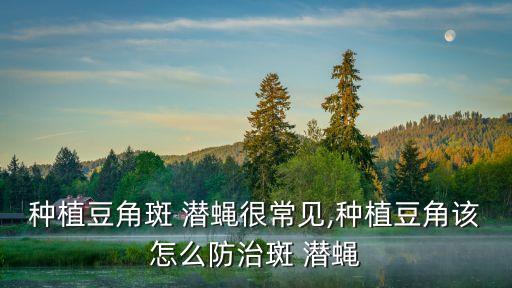 什么農藥殺班潛蠅,菜蟲用什么農藥殺比較好?