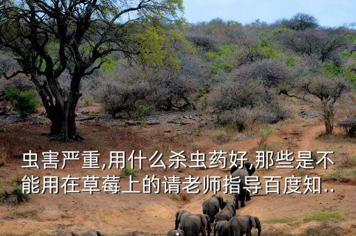 甲什么蟲的農藥不能用,堿性和什么農藥不能