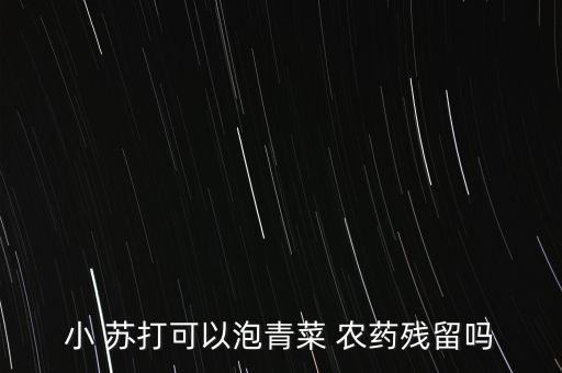 小 蘇打可以泡青菜 農藥殘留嗎