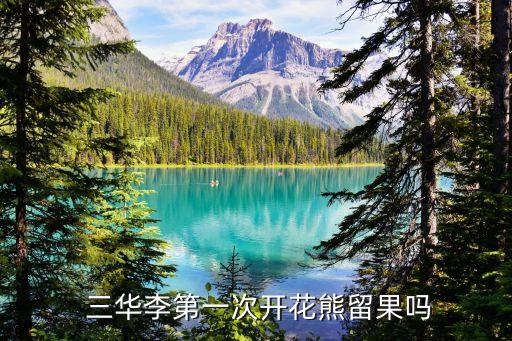 三華李第一次開花熊留果嗎