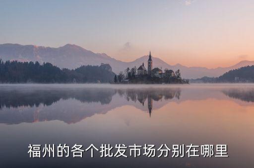 福州的各個批發(fā)市場分別在哪里