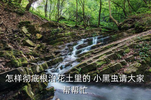 小黑蟲用什么農藥治最好,殺小黑蟲用什么農藥