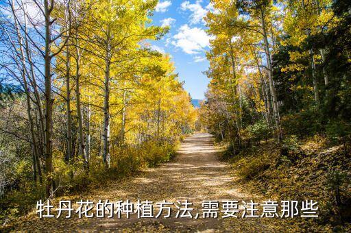 牡丹除草用什么農藥,荒山除草用什么農藥好?