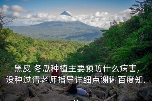  黑皮 冬瓜種植主要預防什么病害,沒種過請老師指導詳細點謝謝百度知...