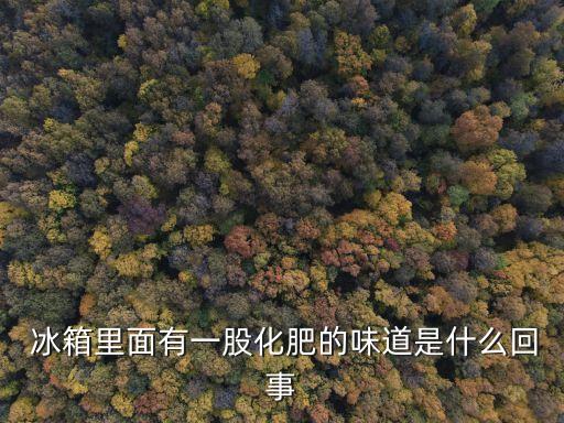 冰箱里面有一股化肥的味道是什么回事