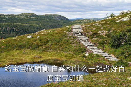 奶油白菜打什么農(nóng)藥,白菜一般打什么農(nóng)藥