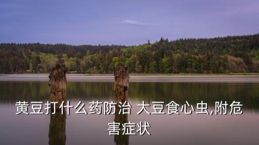 大豆有蟲打什么農藥,大豆蟲變成蝴蝶什么樣