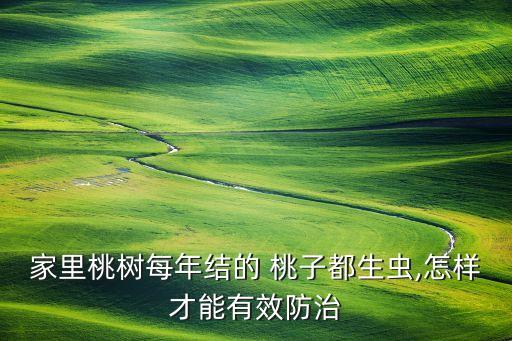 桃子被蟲子吃用什么農藥,桃子管理打什么農藥