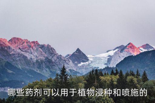 撒種子后打什么農藥,直接撒種子的蔬菜有什么