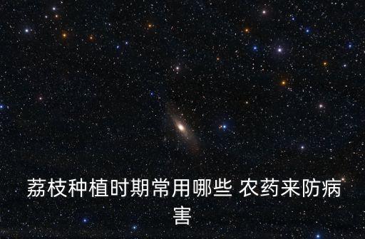 荔枝花期打點什么農藥