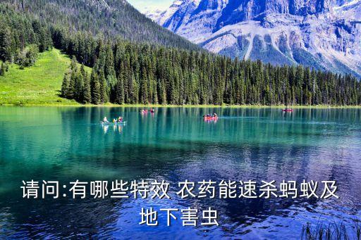 有什么農藥能殺百蟲,什么農藥殺老鼠效果最好