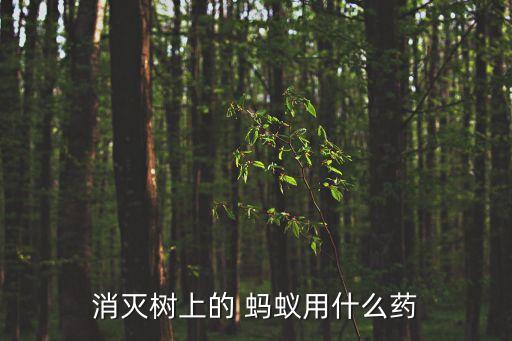 什么農(nóng)藥可毒殺螞蟻,田間螞蟻用什么農(nóng)藥