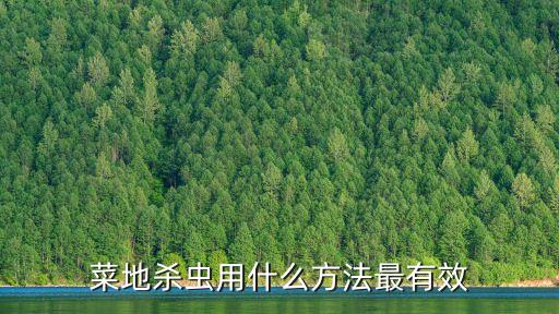 菜地殺蟲用什么方法最有效