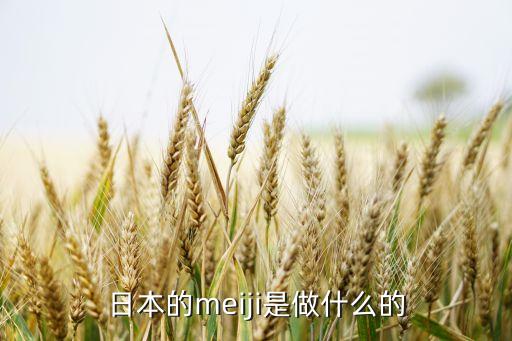 打農藥噴槍什么品牌好些,噴槍什么品牌的性價比高