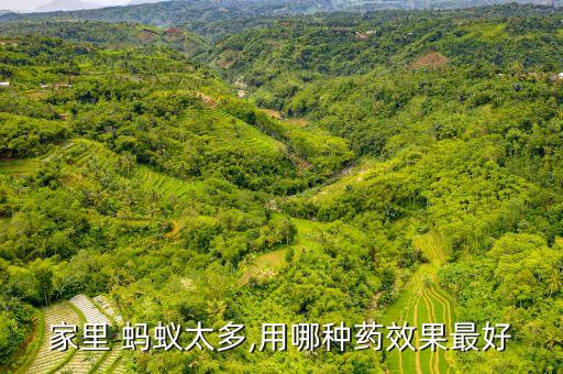 螞蟻噴什么農(nóng)藥好用,什么農(nóng)藥殺螞蟻?zhàn)钣行? /></a><a href=