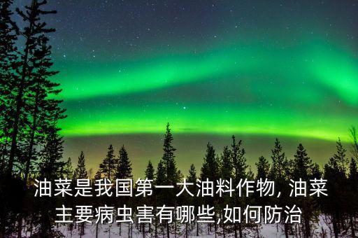  油菜是我國第一大油料作物, 油菜主要病蟲害有哪些,如何防治