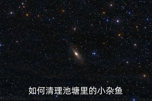 如何清理池塘里的小雜魚