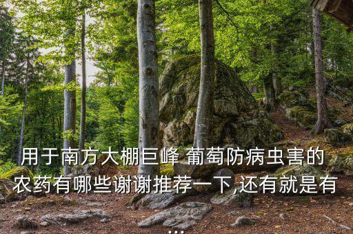 防止葡萄裂果用什么農(nóng)藥,溫克葡萄防止裂果技術(shù)