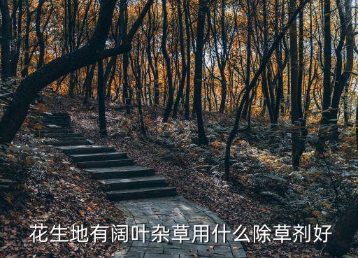  花生地有闊葉雜草用什么除草劑好
