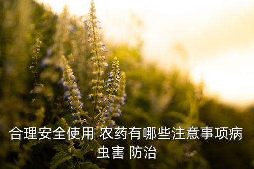 使用農藥屬于什么防治,果實蠅用什么農藥防治?