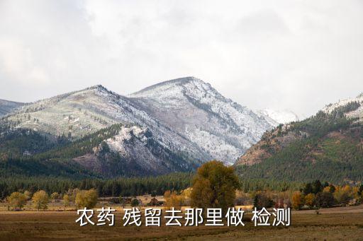 什么機(jī)構(gòu)農(nóng)藥殘留檢測(cè),蔬菜里的農(nóng)藥殘留用什么檢測(cè)