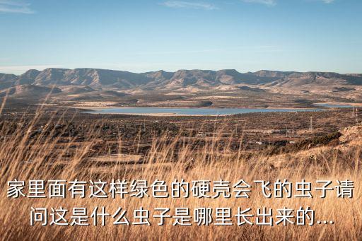 綠蝽用什么農藥,綠妃與什么農藥混合最好