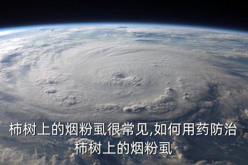 柿子樹花期打什么農藥