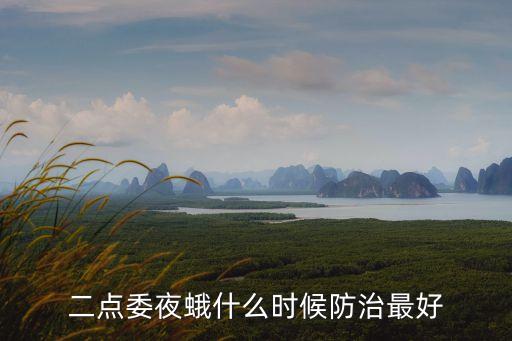 二點委夜蛾什么時候防治最好