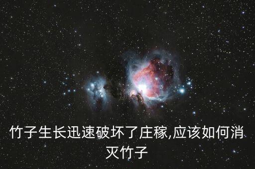 竹干最怕什么農藥