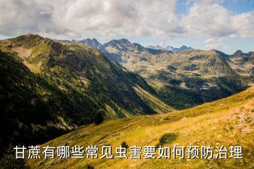 甘蔗有哪些常見蟲害要如何預防治理