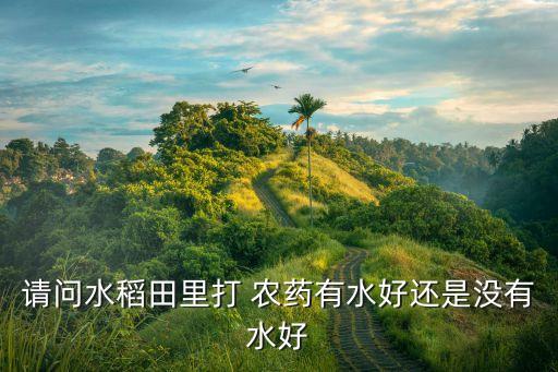 農(nóng)藥中間的水是什么,1605農(nóng)藥是什么藥