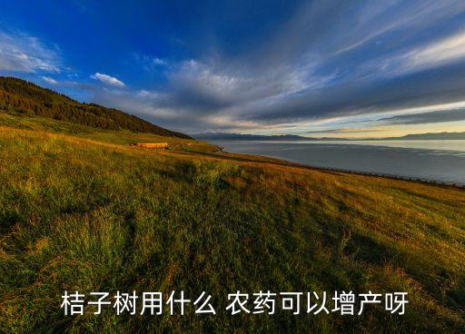 桔子樹用什么 農(nóng)藥可以增產(chǎn)呀