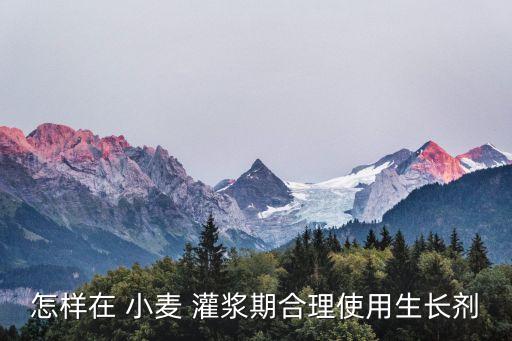 小麥灌漿打什么農藥好用,小麥的灌漿期比喻什么