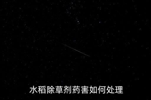什么農藥不傷水稻苗根莖,水稻農藥什么時間打效果最好