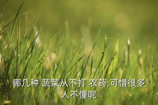 哪幾種 蔬菜從不打 農(nóng)藥,可惜很多人不懂呢