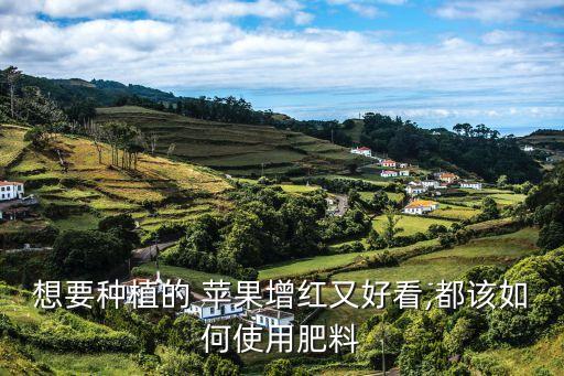 富士蘋果入庫前噴什么農藥