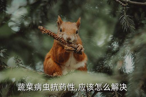 蔬菜病蟲抗藥性,應該怎么解決