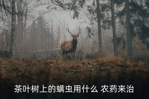 茶葉樹上的螨蟲用什么 農藥來治